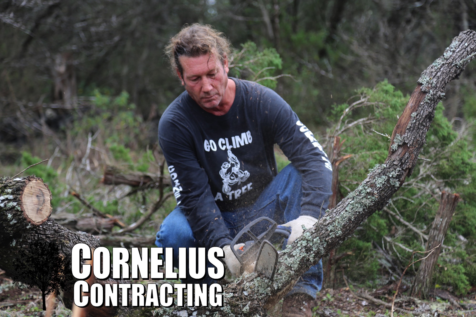 A short description about the picture goes here