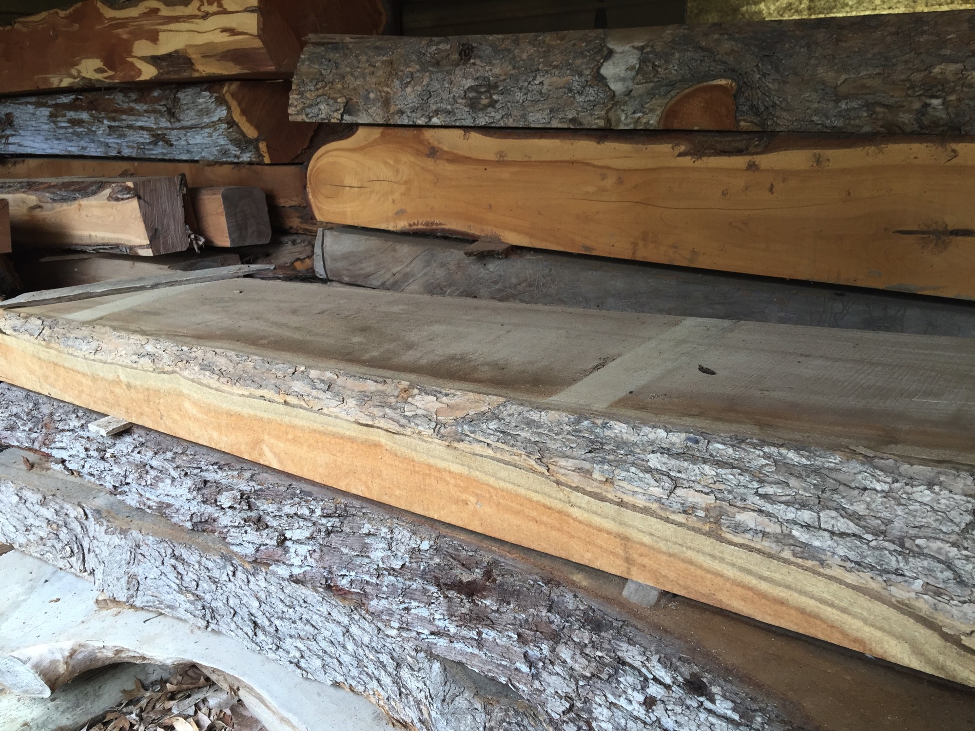 A short description about the picture goes here